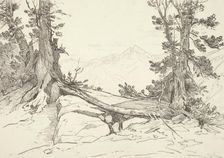 Sierra Pines, 1924. Creator: Bolton Coit Brown