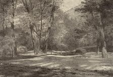 Sierra Woods, 1920s. Creator: Bolton Coit Brown