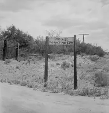 Sign near Saint David, Arizona, 1937. Creator: Dorothea Lange