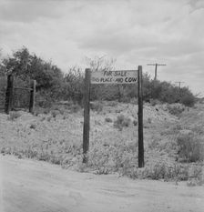 Sign near Saint David, Arizona, 1937. Creator: Dorothea Lange