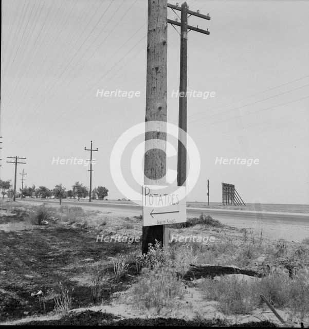 Sign on USHighway 99 near Shafter, California, 1937. Creator: Dorothea Lange.