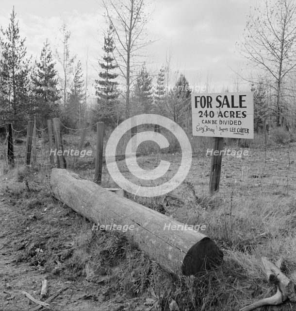 Sign on back road in cut-over area, Boundary County, Idaho, 1939. Creator: Dorothea Lange.