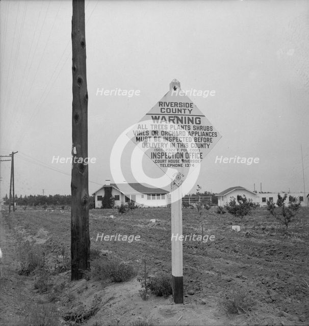 Sign on road entering California where there is now plant quarantine inspection, 1937. Creator: Dorothea Lange.