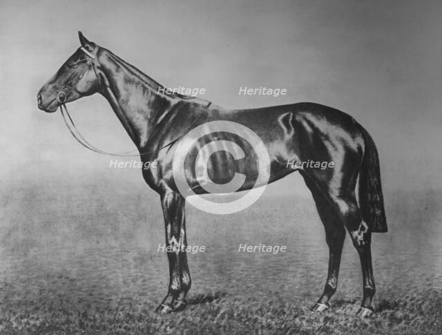 'Signorinetta', 1905-1928, (1911). Artist: Unknown.