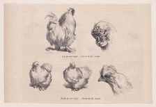 Silkie Cockerel and Silkie Hen, from "Le Magasin Pittoresque", September 1861. Creators: Charles Emile Jacque, Tamisier