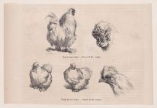 Silkie Cockerel and Silkie Hen, from "Le Magasin Pittoresque", September 1861. Creators: Charles Emile Jacque, Tamisier
