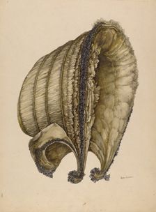 Silk Bonnet, 1935/1942. Creator: Peter Connin