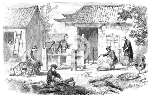 Silk Culture in China: preparing raw silk, 1857. Creator: Unknown.