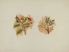 Silk Petticoat (Fragment), c. 1939. Creator: Manuel G. Runyan
