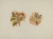 Silk Petticoat (Fragment), c. 1939. Creator: Manuel G. Runyan