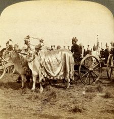 Silver cannon of the Maharaja of Baroda, Delhi, India.Artist: Underwood & Underwood