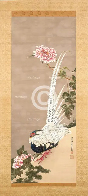 Silver Pheasant and Peonies, 1793. Creator: Ito Jakuchu.