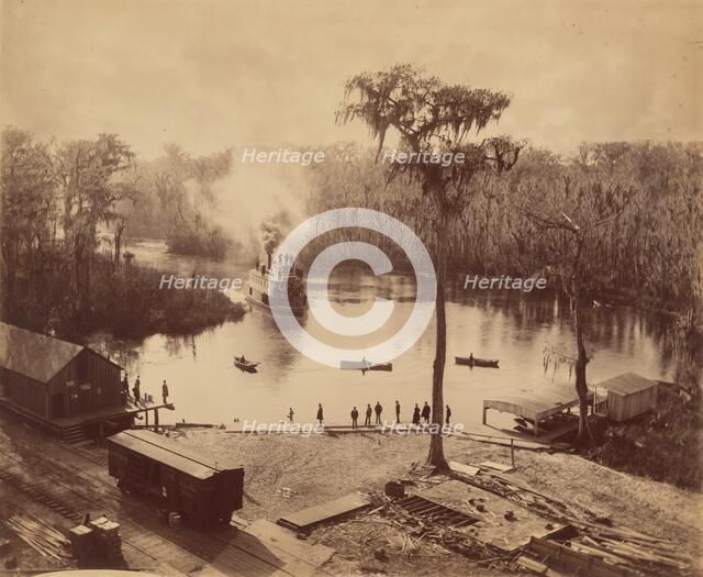 Silver Springs, Florida, c. 1886. Creator: George Barker.