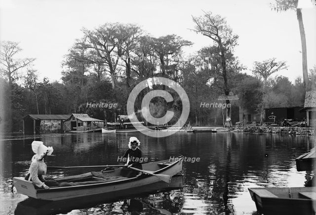 Silver Springs on the Oclawaha [sic], Florida, c1902. Creator: William H. Jackson.