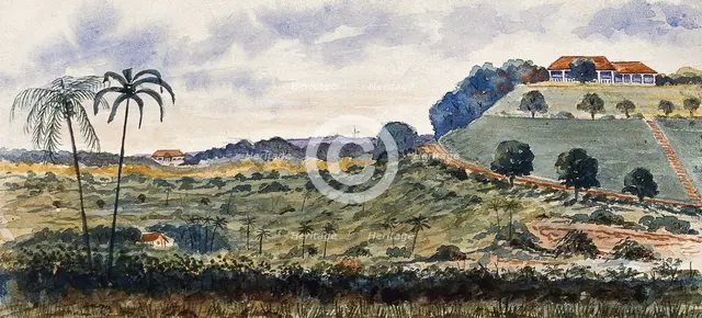 Singapore: a hill known as "Mount Echo", 1879. Creator: John Edmund Taylor.