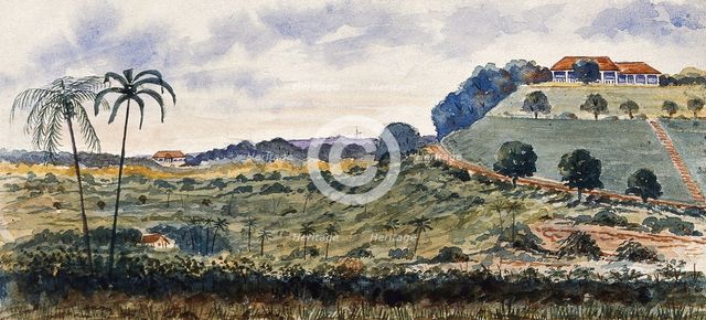 Singapore: a hill known as "Mount Echo", 1879. Creator: John Edmund Taylor.