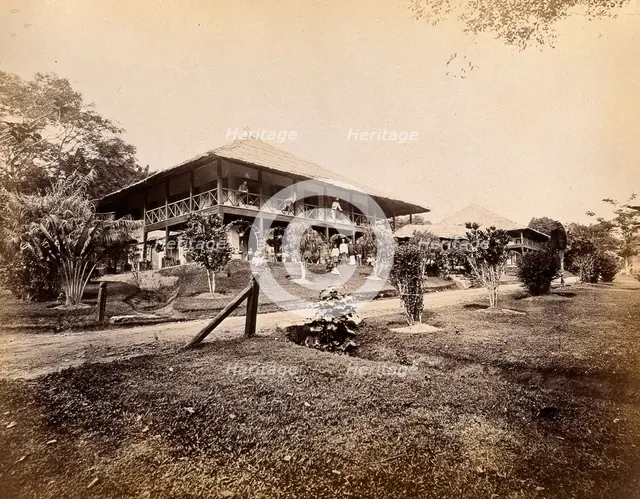 Singapore: a large bungalow for British officers with tropical plants in the garden, 1880. Creator: John Edmund Taylor.