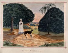 Singapore: a person with dogs in the Botanical Gardens, 1879. Creator: John Edmund Taylor