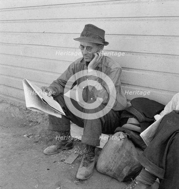 Single man, three weeks before opening of Klamath..., Tulelake, Siskiyou County, California, 1939. Creator: Dorothea Lange.