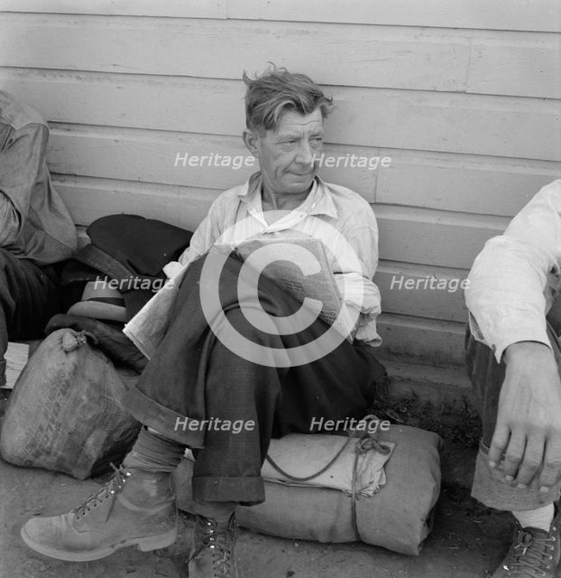 Single man, three weeks before opening of Klamath..., Tulelake, Siskiyou County, California, 1939. Creator: Dorothea Lange.