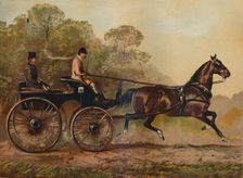 Single Harness Phaeton Horse "Columbine". Property of Charles Baynes Esq., 1872 c1879 Creator: Unknown