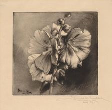 Single Hollyhocks, 1889. Creator: James David Smillie