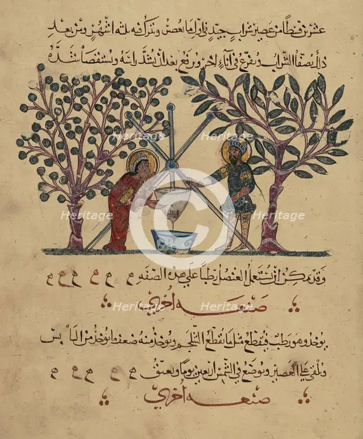 Single Leaf from the Arabic Version of Dioscorides' De materia medica, Rajab 621 AH/AD 1224. Creator: Unknown.