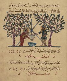 Single Leaf from the Arabic Version of Dioscorides De materia medica, Rajab 621 AH/AD 1224. Creator: Unknown