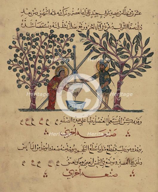 Single Leaf from the Arabic Version of Dioscorides' De materia medica, Rajab 621 AH/AD 1224. Creator: Unknown.