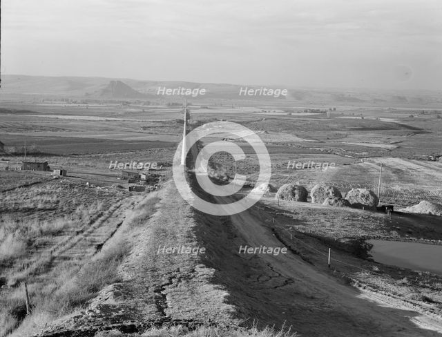 Siphon - the world's longest - which carries water 5 miles to Dead Ox Flat, Oregon, 1939. Creator: Dorothea Lange.