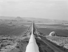 Siphon - the world's longest - which carries water 5 miles to Dead Ox Flat, Oregon, 1939. Creator: Dorothea Lange