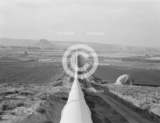 Siphon - the world's longest - which carries water 5 miles to Dead Ox Flat, Oregon, 1939. Creator: Dorothea Lange.