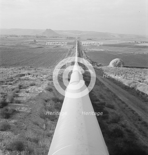 Siphon - the world's longest - which carries water 5 miles to Dead Ox Flat, Oregon, 1939. Creator: Dorothea Lange.