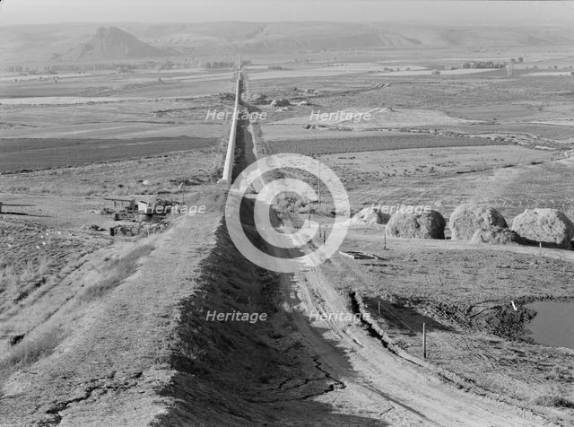 Siphon - the world's longest - which carries water 5 miles to Dead Ox Flat, Oregon, 1939. Creator: Dorothea Lange.