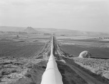 Siphon - the world's longest - which carries water 5 miles to Dead Ox Flat, Oregon, 1939. Creator: Dorothea Lange