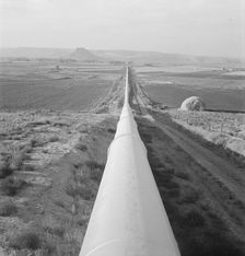 Siphon - the world's longest - which carries water 5 miles to Dead Ox Flat, Oregon, 1939. Creator: Dorothea Lange