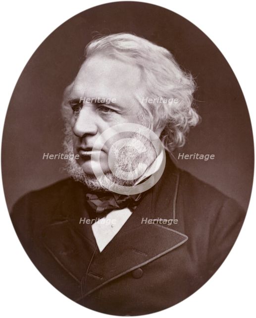 Sir Charles Reed, chairman of the London School Board, 1880. Creator: Lock & Whitfield.