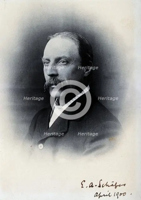 Sir Edward Albert Sharpey-Schafer, 1900. Creator: Unknown.