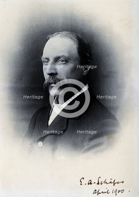 Sir Edward Albert Sharpey-Schafer, 1900. Creator: Unknown.