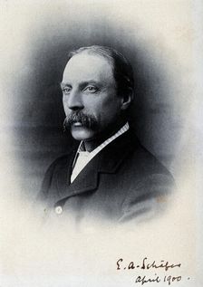 Sir Edward Albert Sharpey-Schafer, 1900. Creator: Unknown