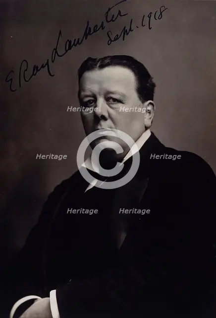Sir Edwin Ray Lankester, 1918. Creator: Elliott & Fry.