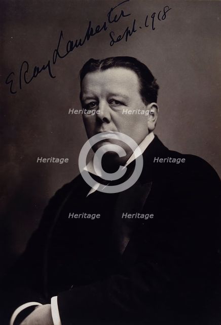 Sir Edwin Ray Lankester, 1918. Creator: Elliott & Fry.