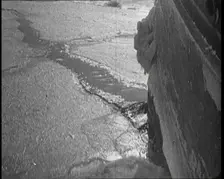 Sir Ernest Shackleton's Expedition Ship Cutting Through Sea Ice, 1922. Creator: British Pathe Ltd