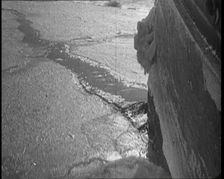 Sir Ernest Shackleton's Expedition Ship Cutting Through Sea Ice, 1922. Creator: British Pathe Ltd