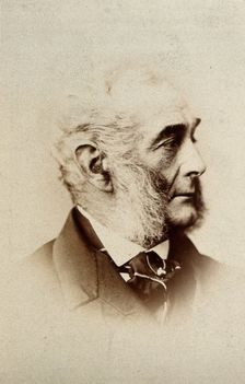 Sir Francis Grant, c1870. Creator: Elliott & Fry