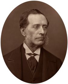 Sir Francis Leopold McClintock, admiral, 1878.Artist: Lock & Whitfield