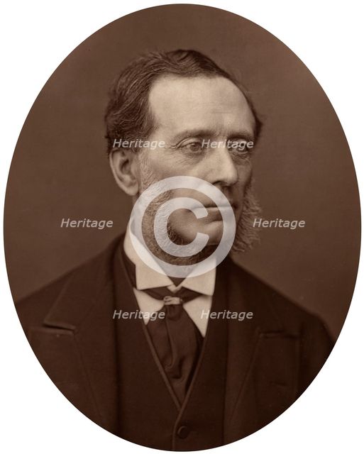Sir Francis Leopold McClintock, admiral, 1878.Artist: Lock & Whitfield