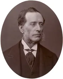 Sir Francis Leopold McClintock, admiral, 1878. Creator: Lock & Whitfield