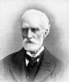 Sir Frederic Burton, Irish artist, 1900. Creator: John Chancellor