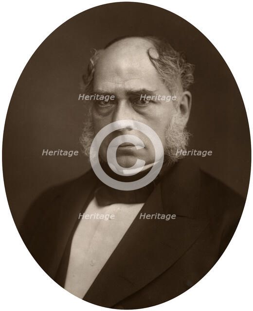 Sir Henry Bessemer, inventor and engineer, 1881. Artist: Unknown